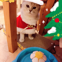 �ҵ��������տ��֣�Ҳ������������