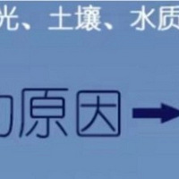 һ֧����