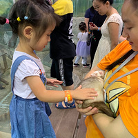 ��ͨ��ݵ����ڶ���԰������ϲ���ľ�Ȼ�Ǻ�����ء���ĩ���޵ء�