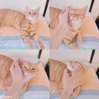 С�������������ˣ��������������ǲ��ܳ���֮�ء���