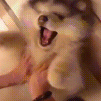 ��������ȥ������߷ã����������������ֻ...�������֡�..