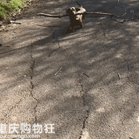 ��ֻ����ľ����񫣬��ؼҵ�ľͷ���ܸǷ����ˣ�