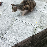 ���¹��黨�����Ļ��Щ~