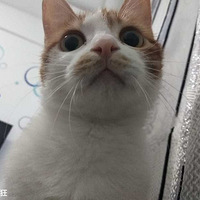 �ղŸ�����������Ƶ��Ȼ����˼���ͼ~
