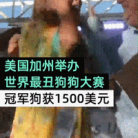 ɱ����С�������ƺţ����飺�Ҿ�֪����һ�����ڣ�