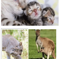 ������ĸ�ؼ��ĵ�һ�Σ������Ӥ������