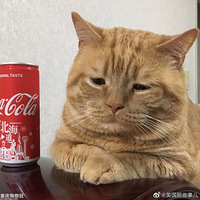 ���ʣ�������������
