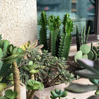 �����Ѿ�Ū�ã�ֲ���λ�����ϾͰ���ˣ����ġ�