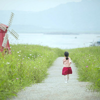 �贵�����ݡ���ľ��