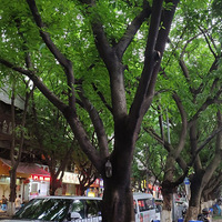 ܴҽֱ߻꣬20+ˣҳóԲ˵