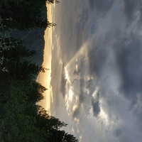 ��������쵽�� Ҫ���������