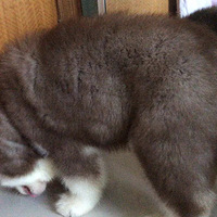��������˹�ӵ����ҿ�ܲ�ס���ˣ�