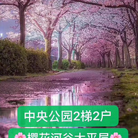 ˵빫԰