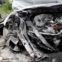 ������ɯ����������95��Ů����������������