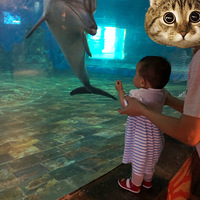 ��������԰��+����͡�ٹ��ʽ���������١�