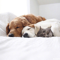 һ���˾���Ҫ��������   [ej=1f4