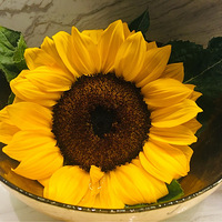 Ruth's Chris Steak Houseе˿