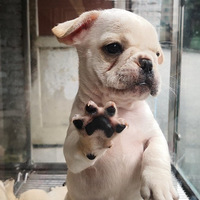 ·��һ������꣬�ȷ��ˣ���˵ϲ������Ĳ���