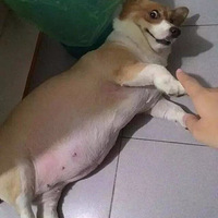 ��Щ����һ��������������ģ�һ�����ֵ������ߵ�ú���ޣ�