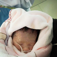 ��Сֻ�ĳɳ���¼