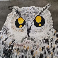 ��¼С���ҵĳɳ�֮·