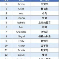 ��������޶�ѡ��Ӣ�����֣���Ҫ�ڽ�ELSA��