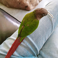����һֻʲô���ģ�