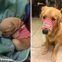 �еĹ����������žʹ��������ˣ�