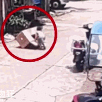 Ůͯ�ؽ�ֽ�䱻������������˾�����ڹ۲죬��ȫ��