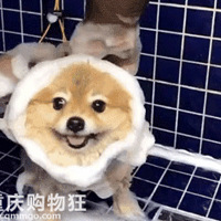 �Լ�ϴ��������ϴ��������һ���ӵľ���