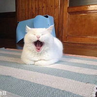 �������Ƿ~