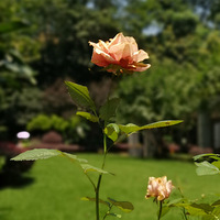 һ쵽