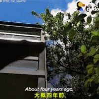 5��ǰ�������һֻ����ȴ��������һ����