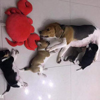 ����Ҫ�����������𣨲�����˼����ȷ����Ϣ����ֻ�����������ˣ�