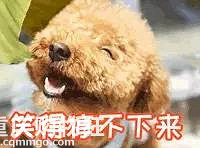 Цʺ�ˣ���Щ�����������¼���а�����һ�ܵ�Ц�㣡