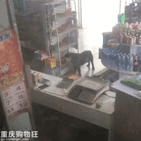 ������С����͵���ȳ�������ǰ����ͷ�����ϰ壺�������ϰ���