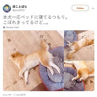 �������������������˯��������������