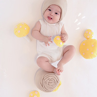 ������İ�����