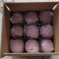 ����������ˮ��