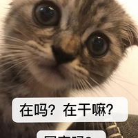 [Ӥʳ]wanghongʵҴ&Լĸ