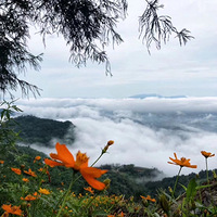 ��ɽ���ƣ��������б��ߺ�ɽ�ȡ���͡�ٹ��ʽ���������١�