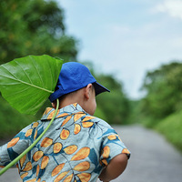 �����ʢ���ŵģ���ɽ��Ұ�����᡾��͡�ٹ��ʽ���������١�