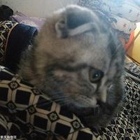 �ͱ���ԲԲ��������Բ��������ֱ��ү�Ƕ���èŮ������