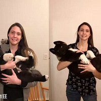 ���������һֻ����Ȯ���ǵ�ǧ���գ�ۣ�