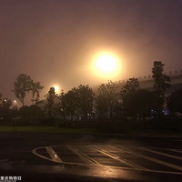 ����2019���ڼҾ�չ