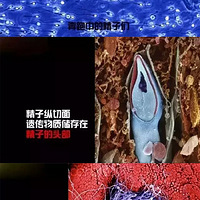 ͼ| Ůọ̈̄Ҫ˼