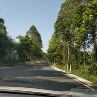 ��ĩ�������صĺ��Ļ���������