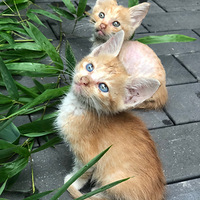 ��û��ϲ�����ٵ�ѽ����ճ�ˣ�������������������