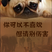 ����Ҳ�벻Ҫ�˺���8.12ɳƺ�Ӿ���Ű���¼������Ұ�æ��ɢ