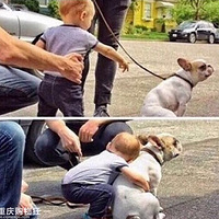 ��������˹���������8����λ������ʮ�ָм��㣡